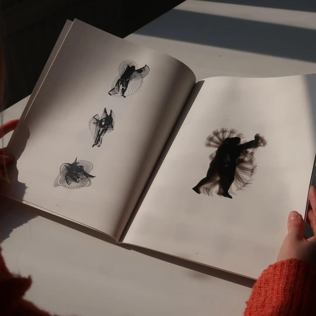 DISCIPLINE Filip Havlena