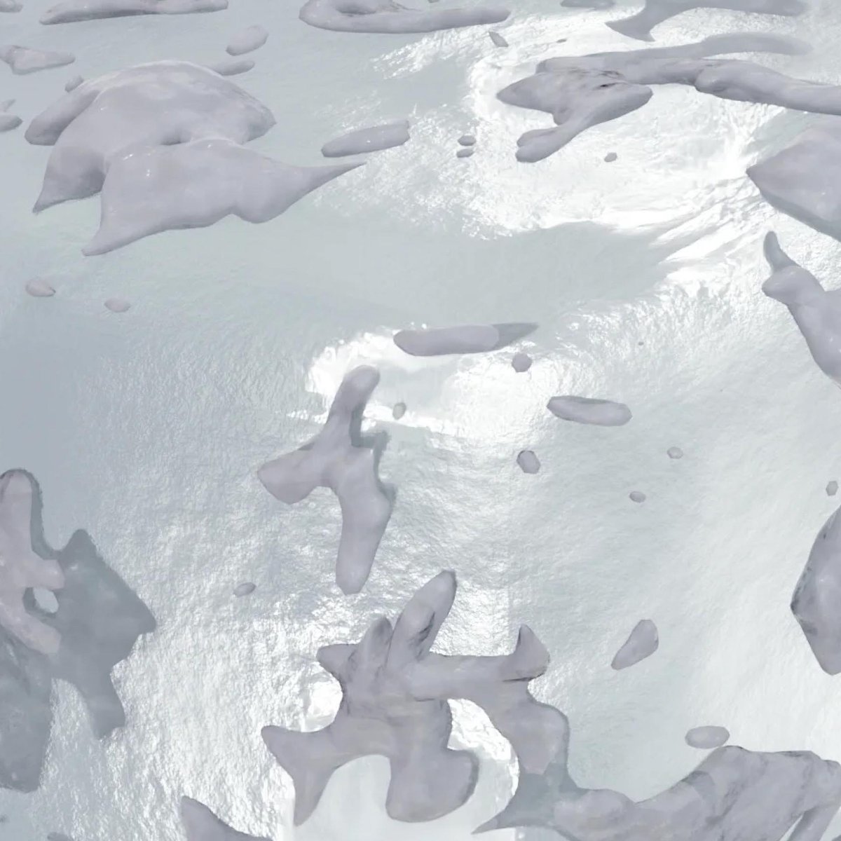 DISCIPLINE Ziru Zhao