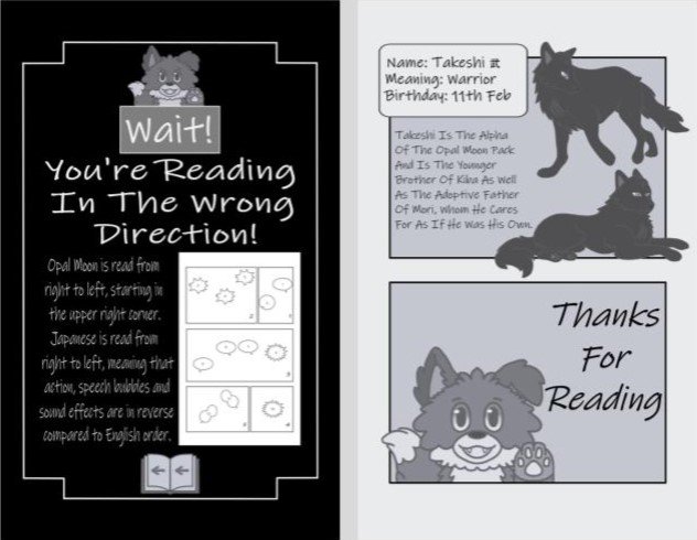 (Read right to left) Character Profile of Takeshi & Directions Page for Manga reading