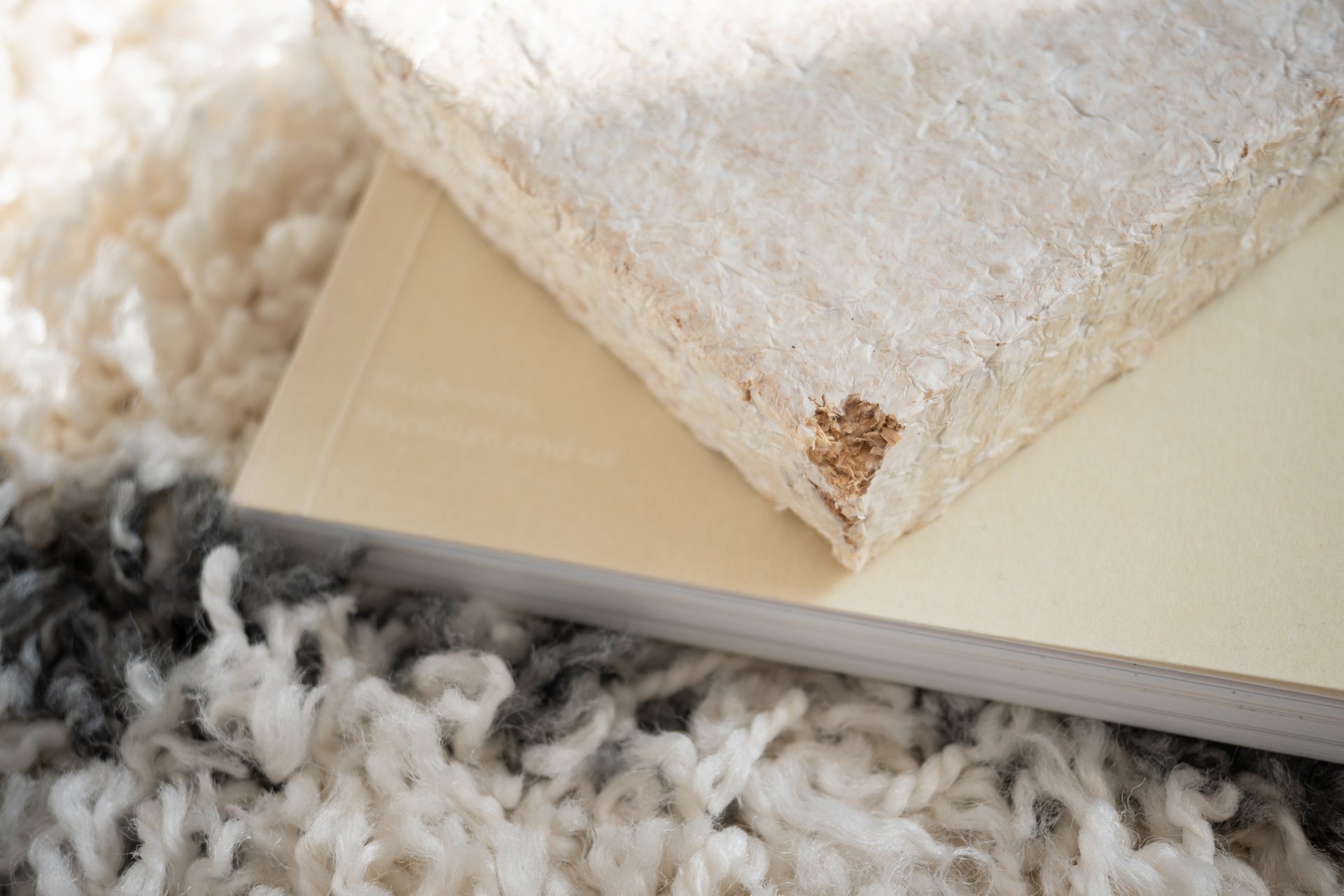 Mushroom, mycelium and us