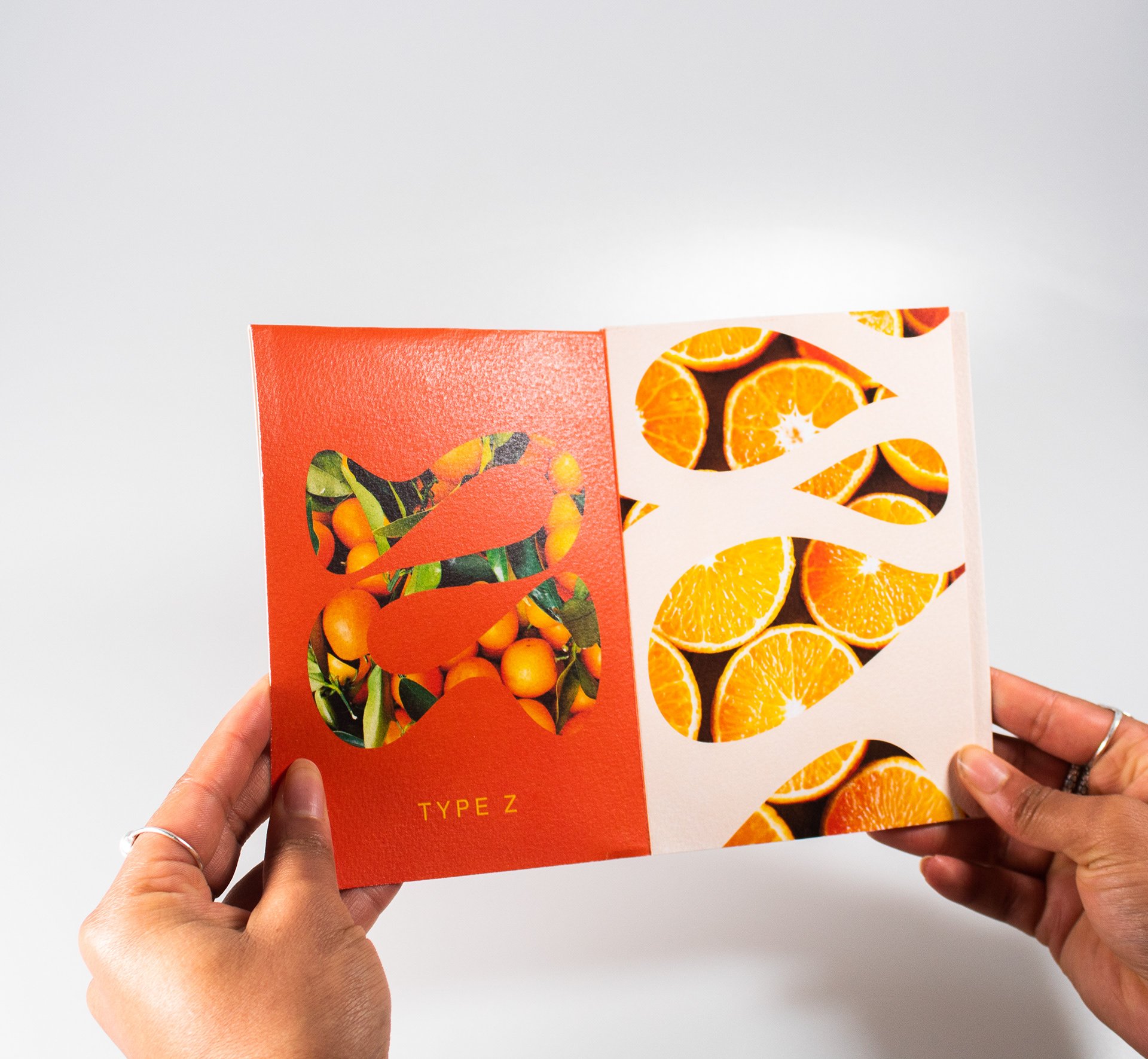 ZESTY type specimen sheet