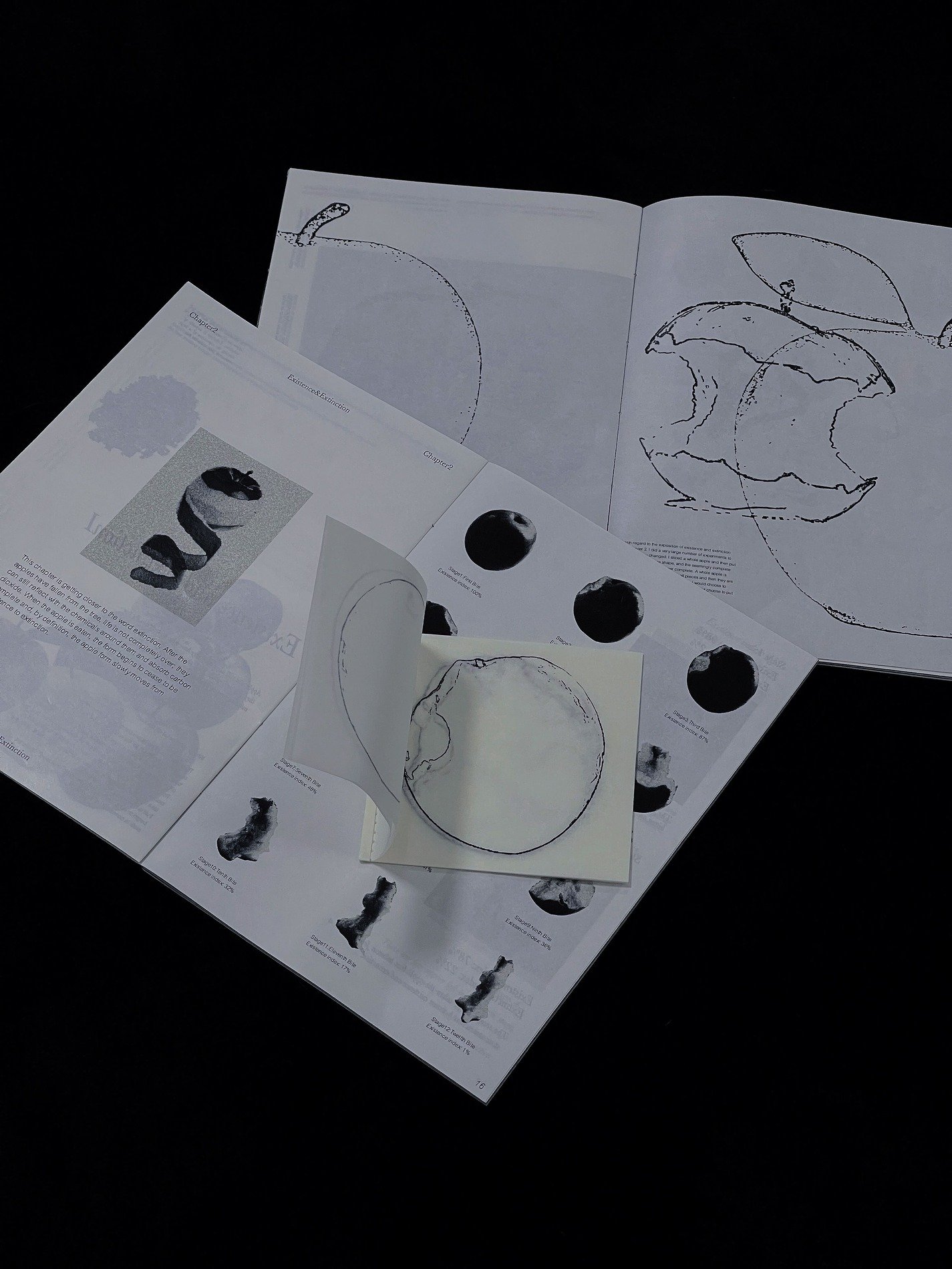 Existence and Extinction