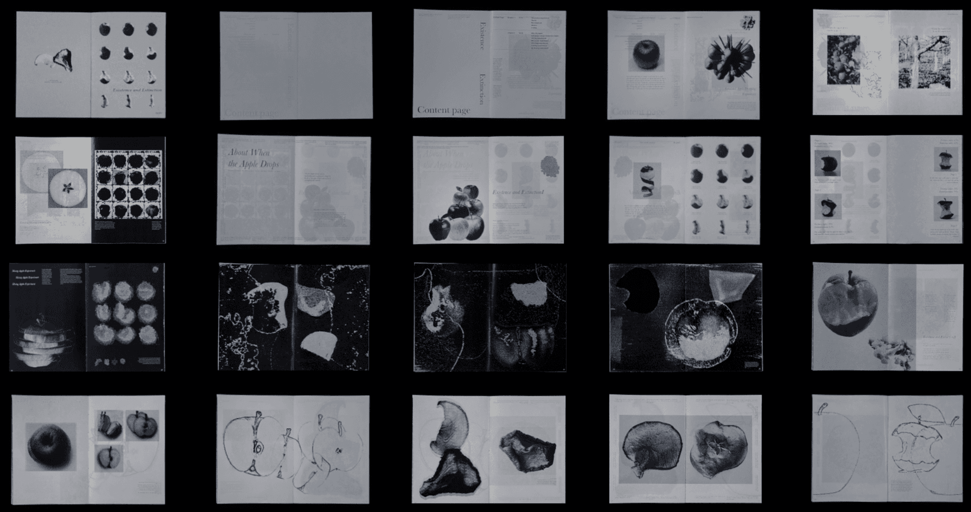 Existence and Extinction