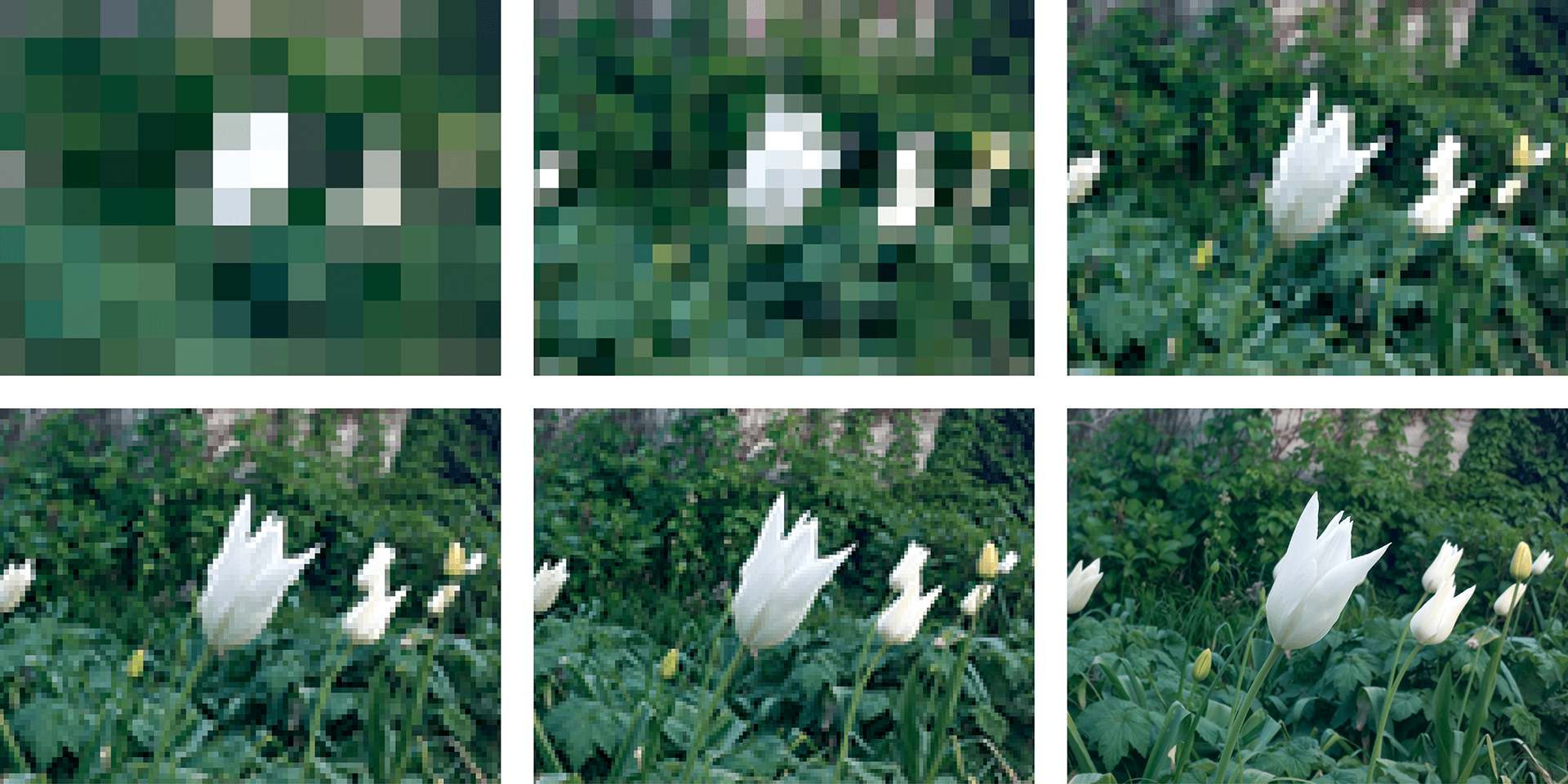 For the background, the goal was to make the image clearer as you move along, from being an abstract pixel artwork to a clear crisp image of a flower.