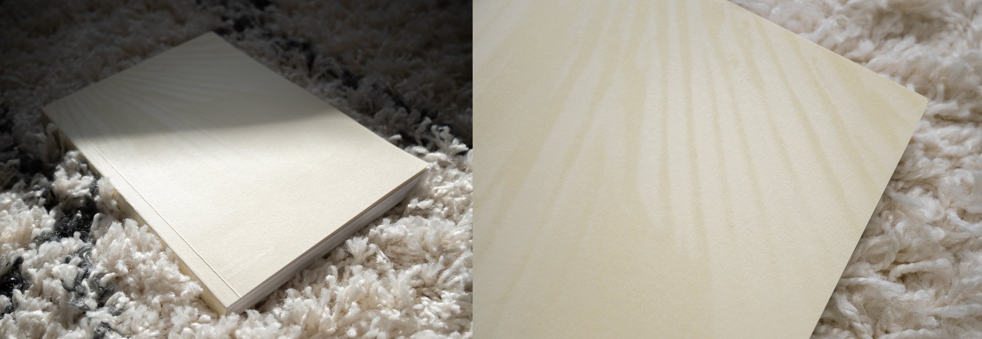 Mushroom, mycelium and us