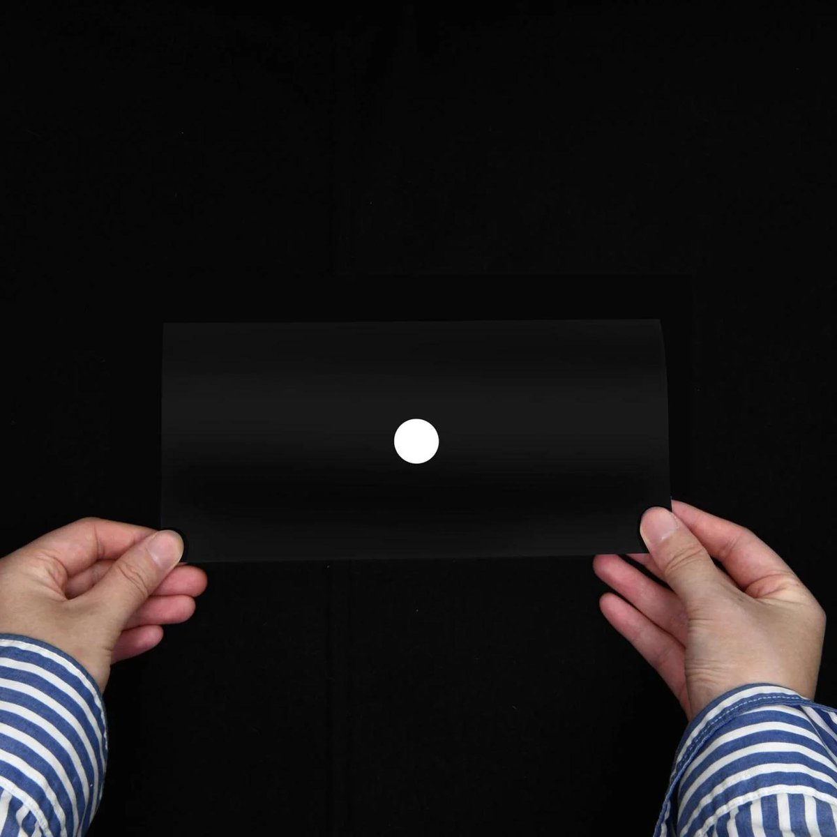 DISCIPLINE Yizhao Jiao