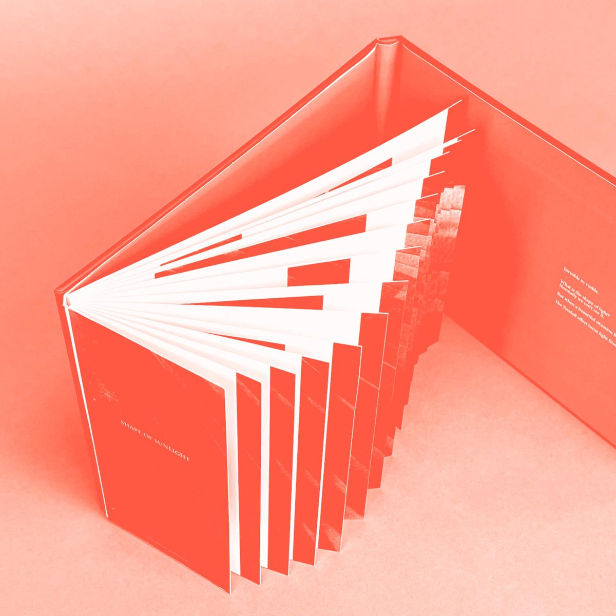 DISCIPLINE Qianxi Liao