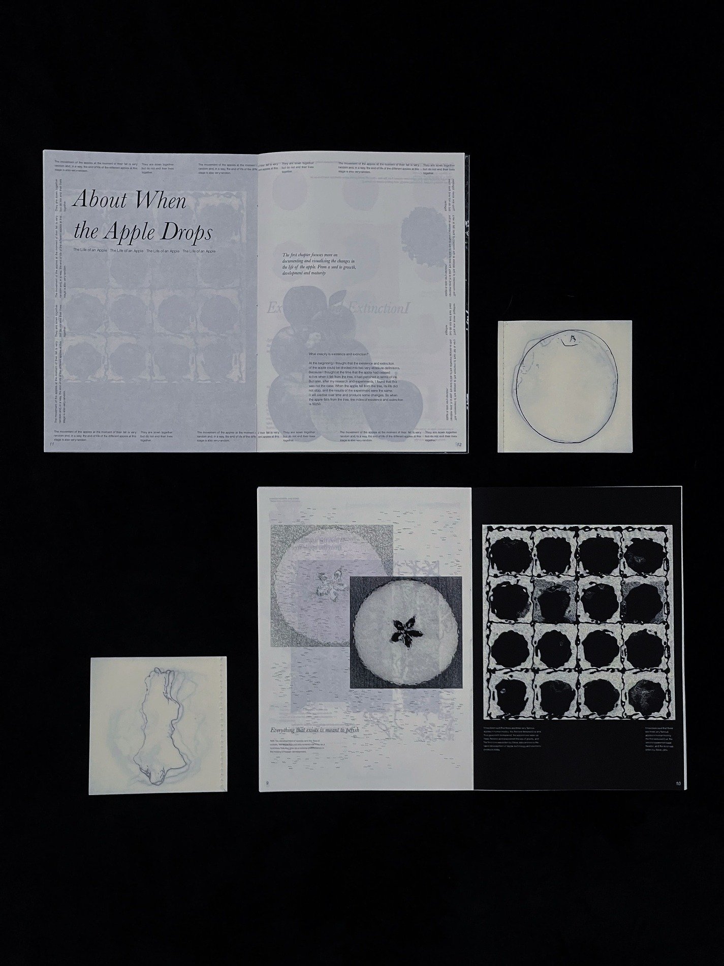 Existence and Extinction