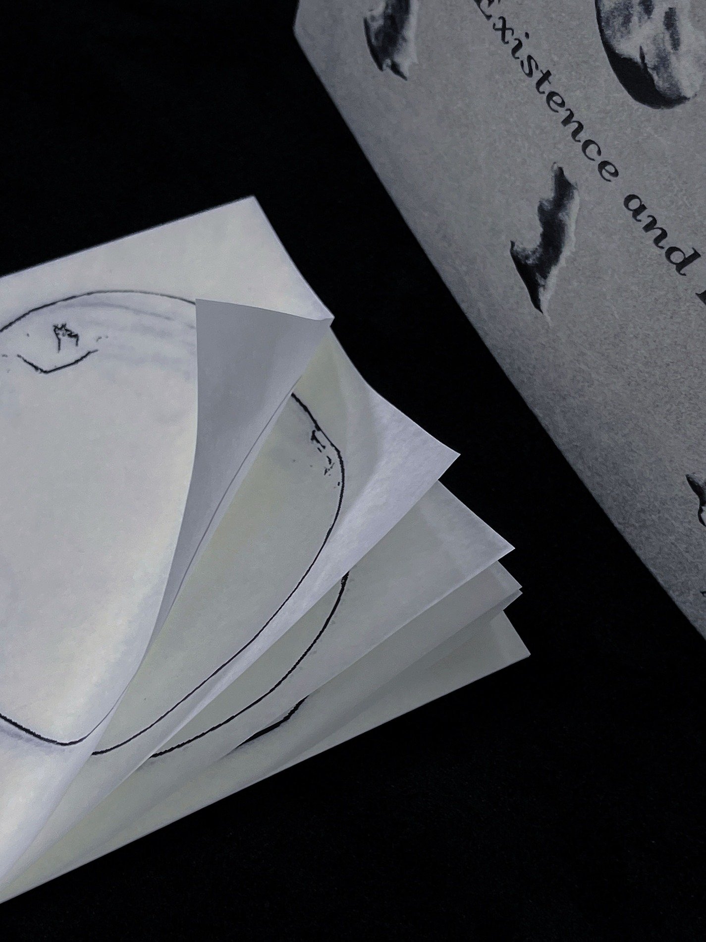 Existence and Extinction