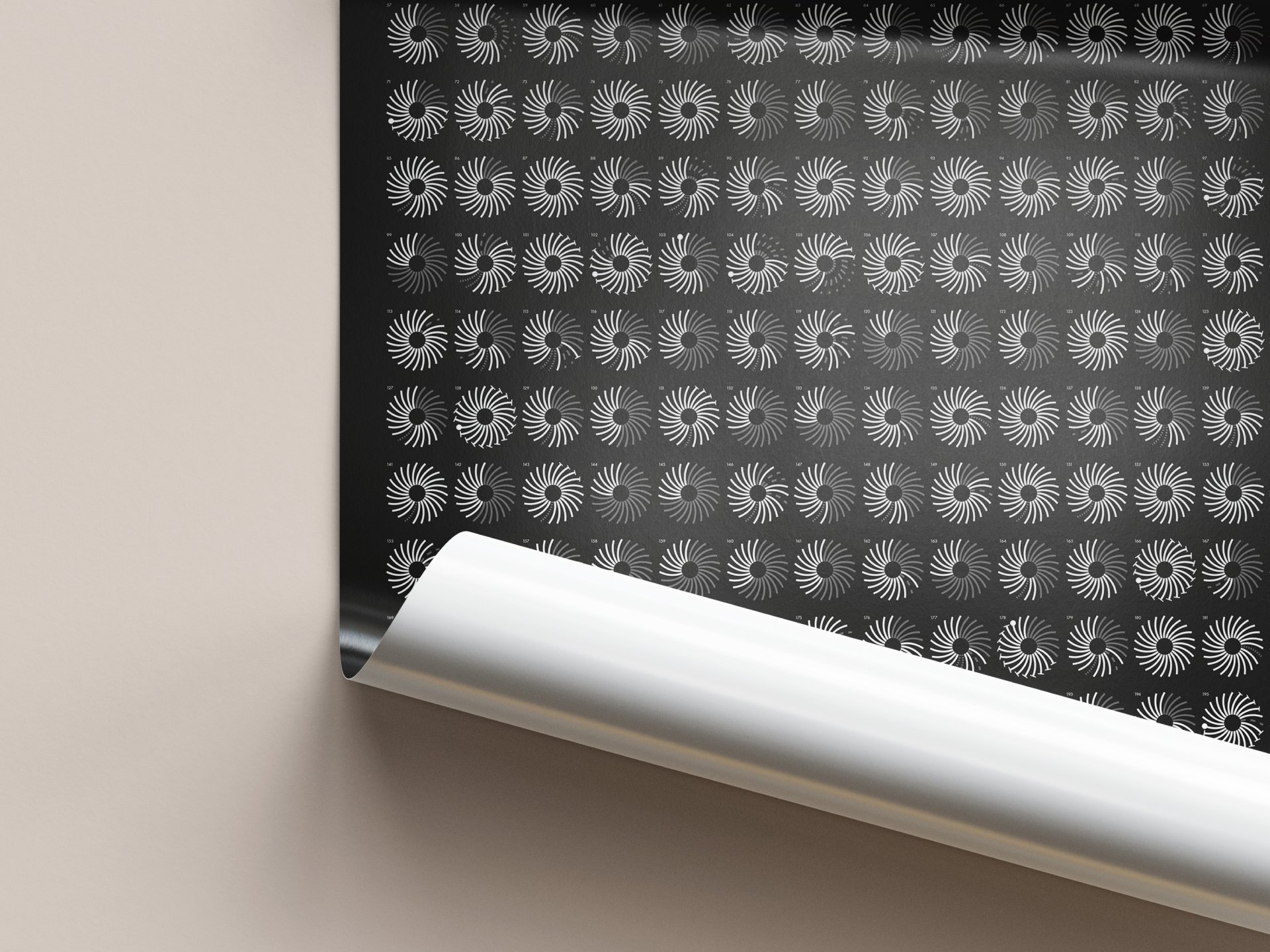 A Century of Olympic Participation