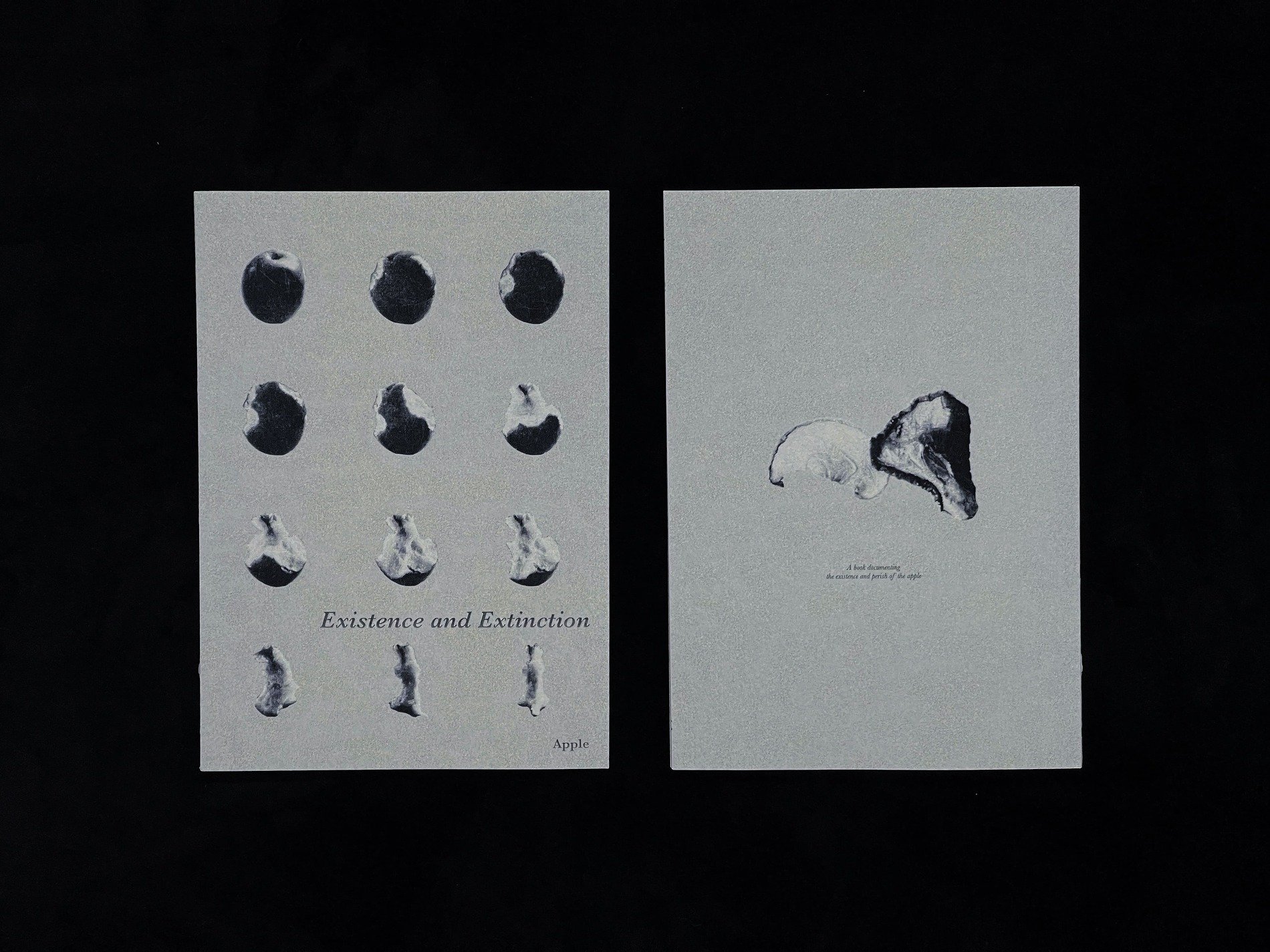 Existence and Extinction